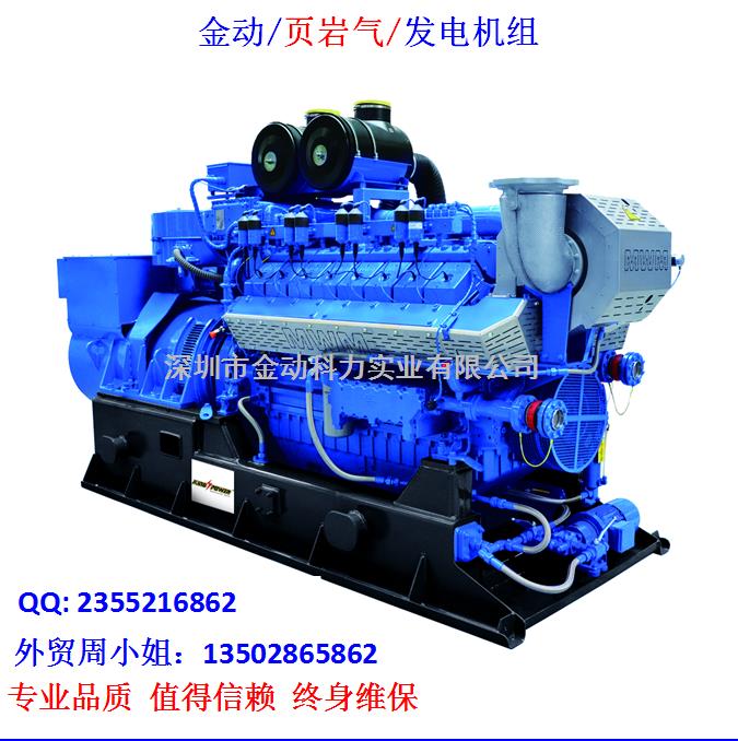 【深圳頁(yè)巖氣發(fā)電機(jī)】 發(fā)展趨勢(shì)無(wú)懈可擋！